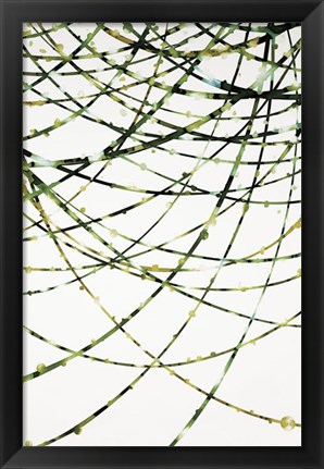 Framed Moss Vine Print