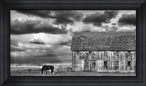 Framed Horse and Barn Print