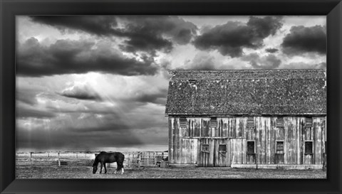 Framed Horse and Barn Print