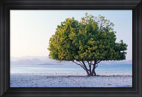 Framed Asia, Indonesia, Lesser Sunda Archipelago, Beach Print