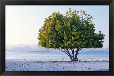 Framed Asia, Indonesia, Lesser Sunda Archipelago, Beach Print