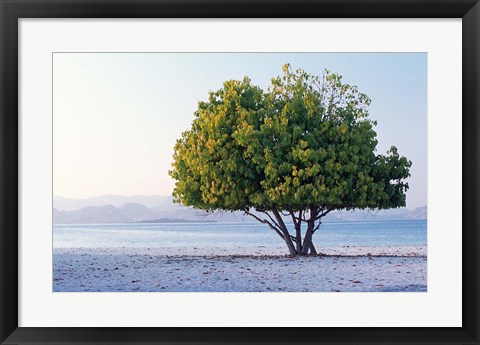 Framed Asia, Indonesia, Lesser Sunda Archipelago, Beach Print