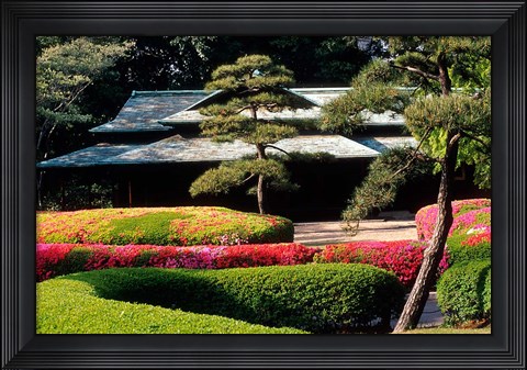 Framed Azaleas at the Imperial Palace East Gardens, Tokyo, Japan Print