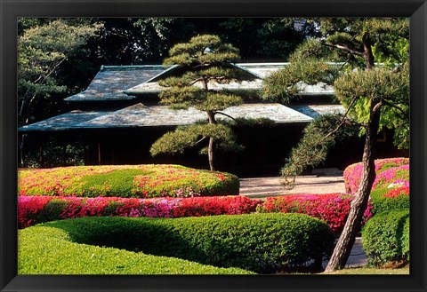 Framed Azaleas at the Imperial Palace East Gardens, Tokyo, Japan Print