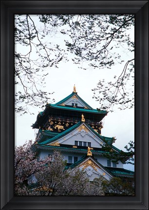 Framed Osaka Castle and Cherry Blossom Trees, Osaka, Japan Print