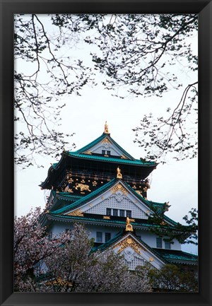 Framed Osaka Castle and Cherry Blossom Trees, Osaka, Japan Print