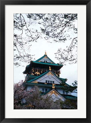 Framed Osaka Castle and Cherry Blossom Trees, Osaka, Japan Print