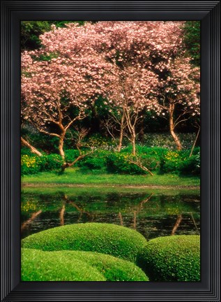 Framed Reflecting Pond, Imperial Palace East Gardens, Tokyo, Japan Print
