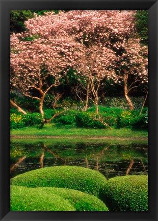 Framed Reflecting Pond, Imperial Palace East Gardens, Tokyo, Japan Print