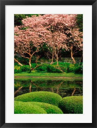 Framed Reflecting Pond, Imperial Palace East Gardens, Tokyo, Japan Print