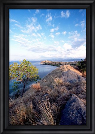 Framed Indonesia, Lesser Sunda Archipelago, Sape Straight Print