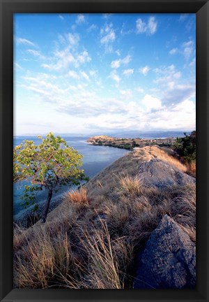 Framed Indonesia, Lesser Sunda Archipelago, Sape Straight Print