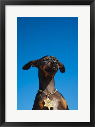 Framed Israel, Tel Aviv, Dog, Jewish Star of David medallion Print