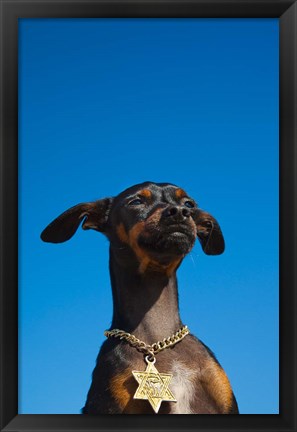 Framed Israel, Tel Aviv, Dog, Jewish Star of David medallion Print