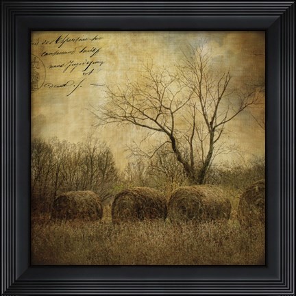 Framed Hayrollers Print