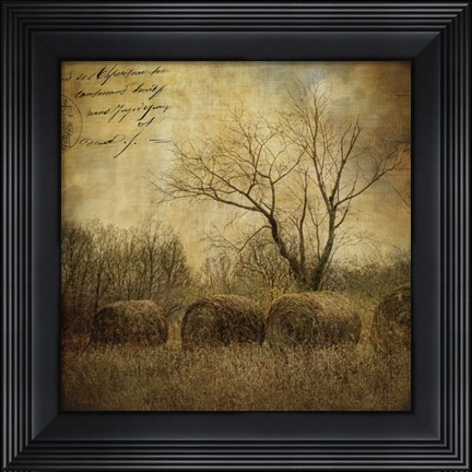 Framed Hayrollers Print