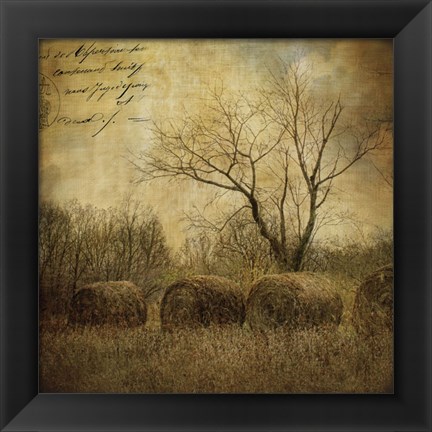 Framed Hayrollers Print