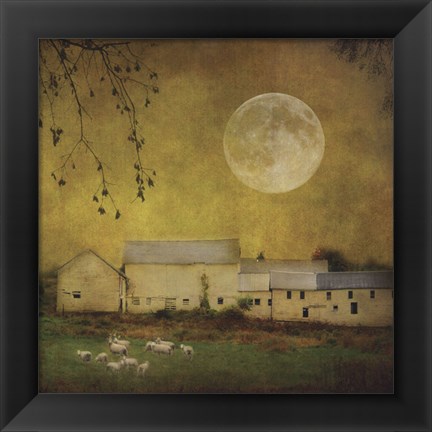 Framed Sheep Under a Harvest Moon Print