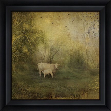 Framed Tendre Charolais Print