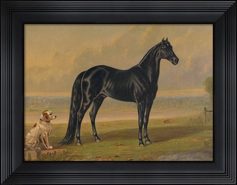 Framed America&#39;s Renowned Stallions, c. 1876 I Print