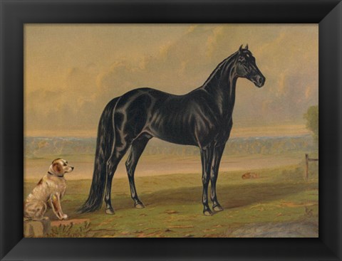 Framed America&#39;s Renowned Stallions, c. 1876 I Print