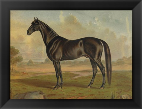 Framed America&#39;s Renowned Stallions, c. 1876 II Print