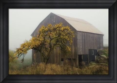 Framed Golden Promises Print