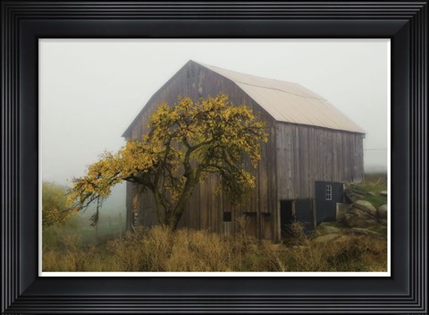 Framed Golden Promises Print