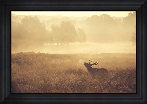 Framed Call Print