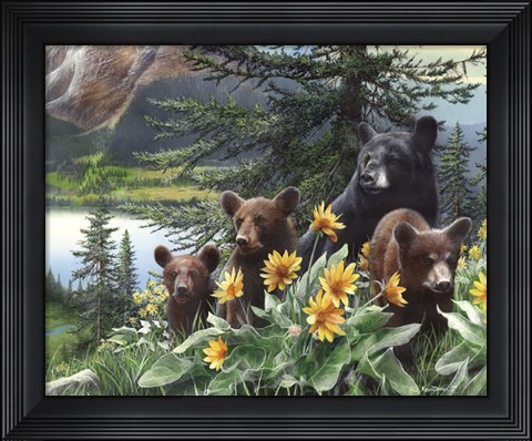 Framed Basking in the Balsams Print