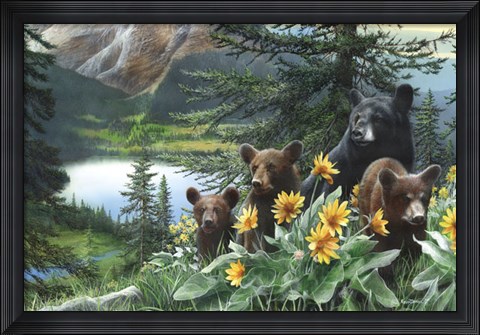 Framed Basking in the Balsams Print