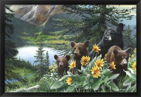 Framed Basking in the Balsams Print