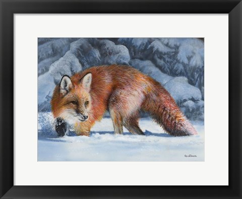 Framed Fox at the Pines Print