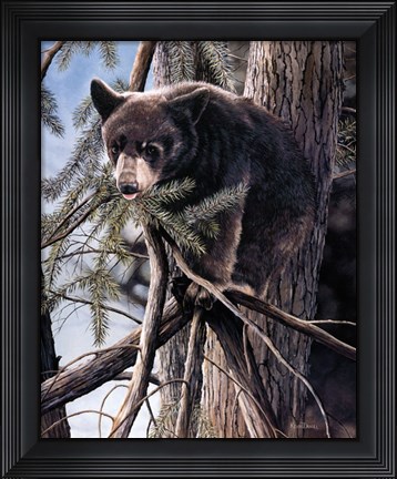 Framed Out on a Limb Print