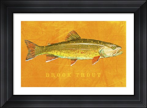Framed Brook Trout Print