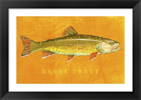 Framed Brook Trout Print