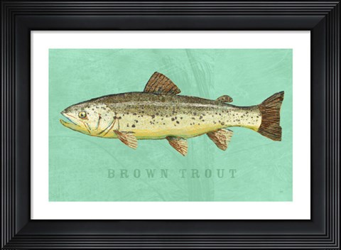 Framed Brown Trout Print