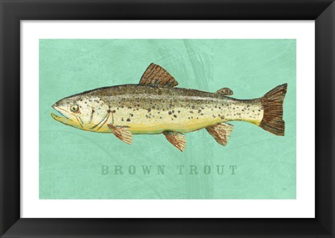 Framed Brown Trout Print