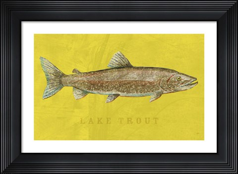 Framed Lake Trout Print