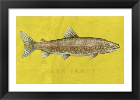 Framed Lake Trout Print