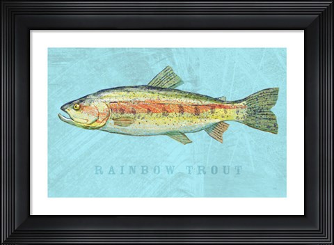 Framed Rainbow Trout Print