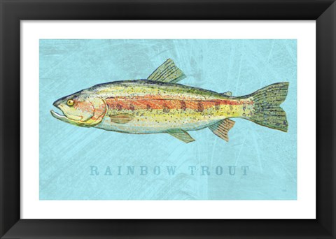 Framed Rainbow Trout Print
