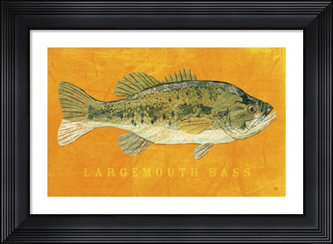 Framed Largemouth Bass Print