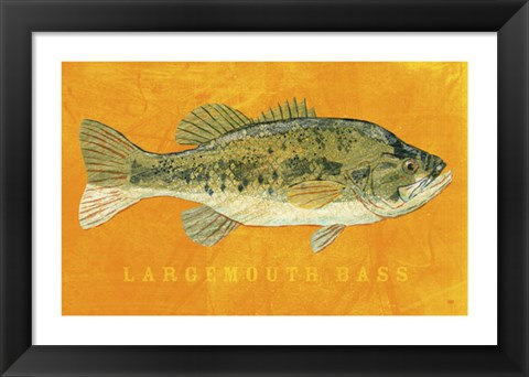 Framed Largemouth Bass Print