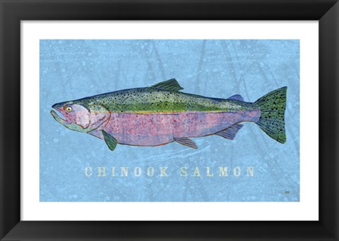 Framed Chinook Salmon Print