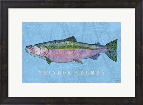 Framed Chinook Salmon Print