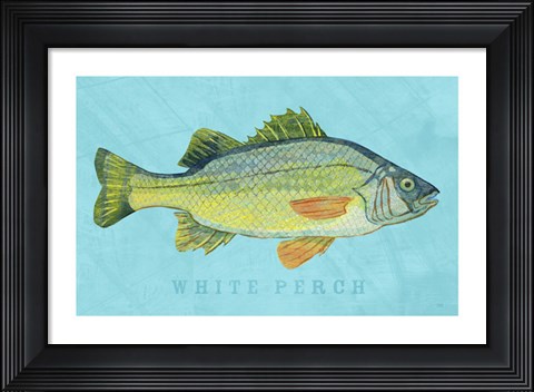 Framed White Perch Print