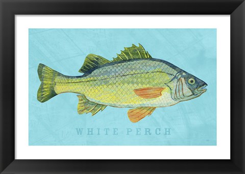 Framed White Perch Print