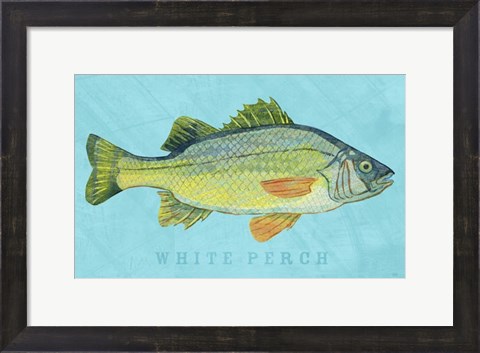 Framed White Perch Print