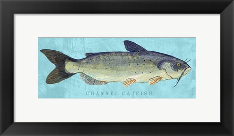 Framed Channel Catfish Print